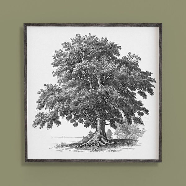 Graceful Chestnut Tree Engraving: Stunning Wall Art for Nature-inspired Decor Nature Inspired Decor