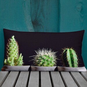 sequin cactus pillow