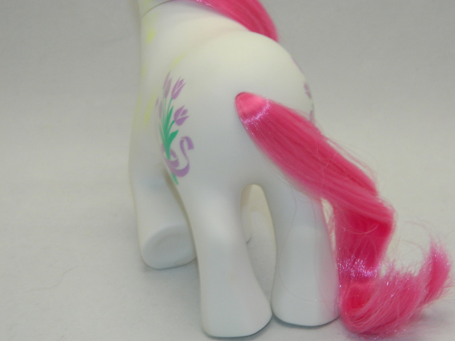 my little pony tulip
