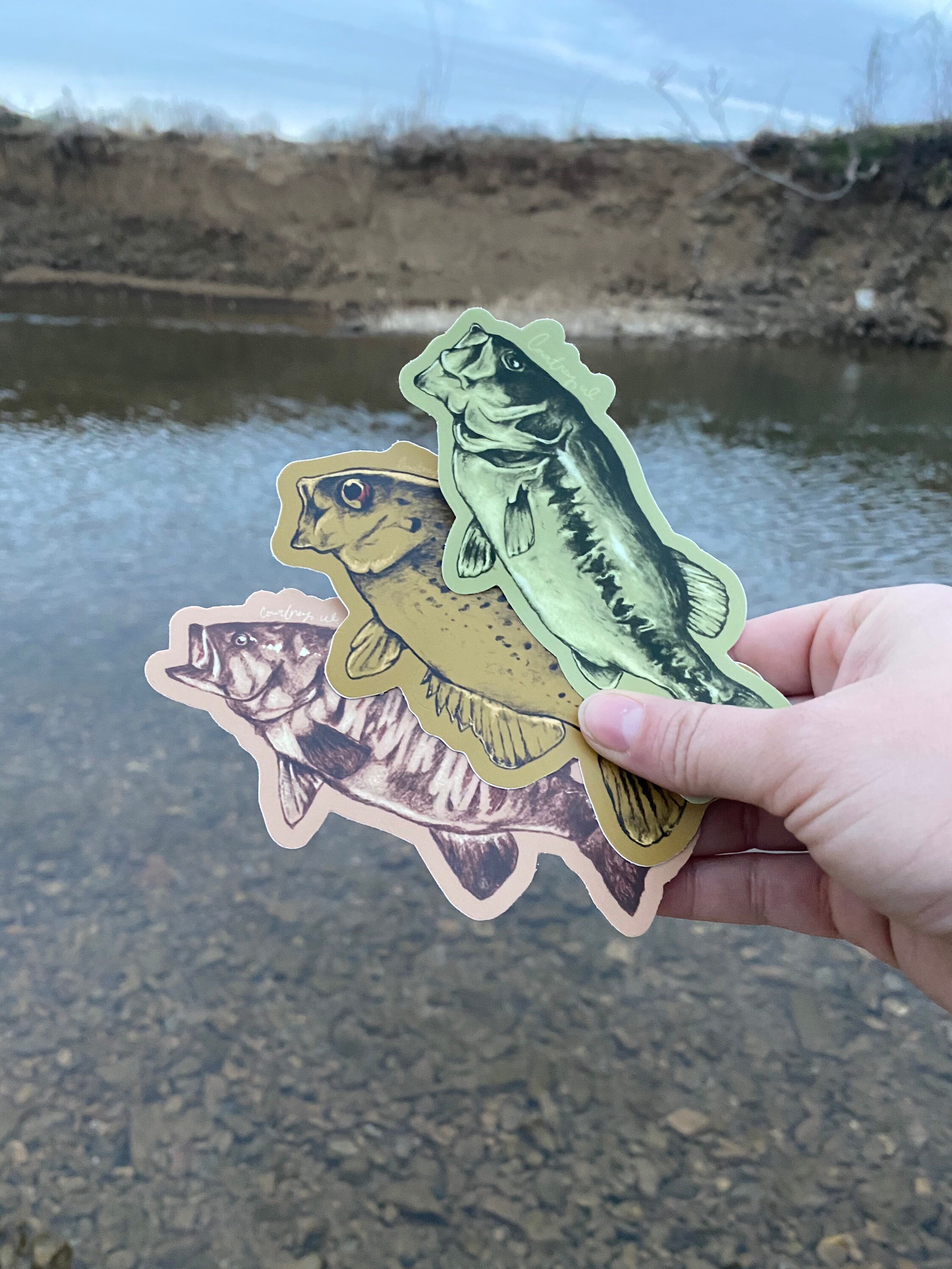 Fish Vinyl Die Cut Stickers Etsy