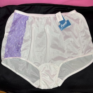 Vintage Carole Nylon Panty: Lace Trimmed Full Cut Briefs, Size 10