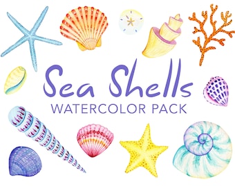 Zeeschelpen aquarel Clipart