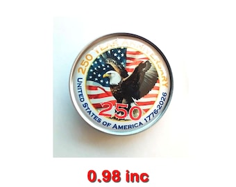 250th anniversary Lapel Pin. American flag and eagle Brooch. 250th anniversary Pins.250th anniversary lapel pin.  American flag eagle Brooch