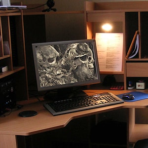 Skull Wallpaper for Laptop and Desktop Computers