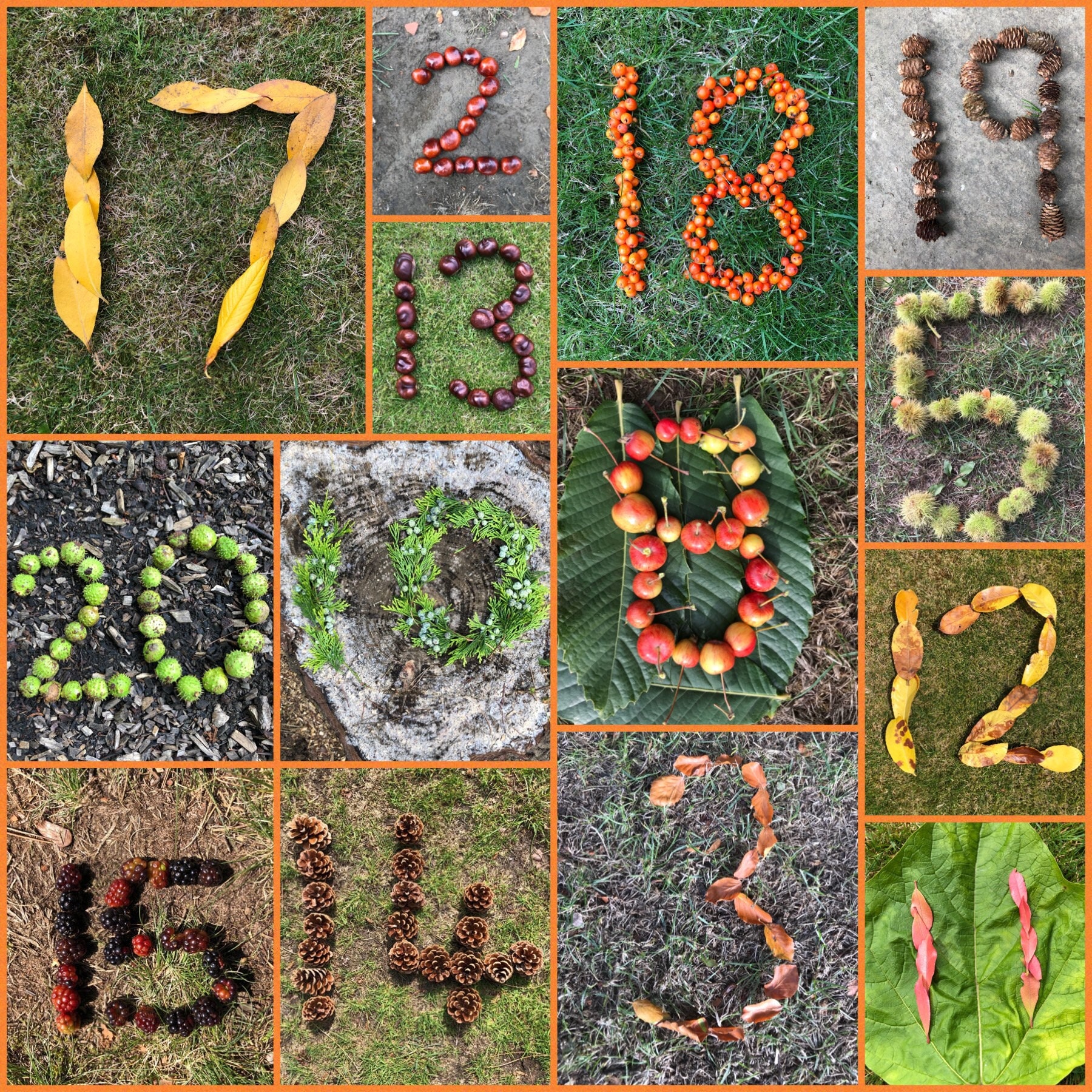 Nature Themed Autumn Numbers 1 20 Etsy UK