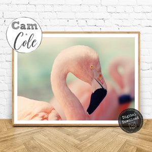 Pink Flamingo Print, Printable Wall Art, Coastal Decor, Instant Digital Download, Flamingos, Tropical Wall Art, Flamingo Print