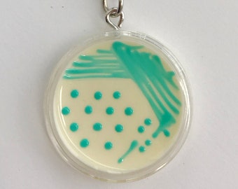 Listeria Petri Dish Keychain / Microbiology Agar Art / Bacteria Science Lab Gift / Science Art