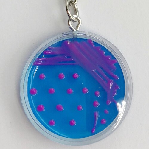 Staph Aureus Petri Dish Keychain / Microbiology Agar Art / Etsy