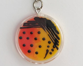 Portachiavi con piastra di Petri Salmonella SS / Arte con agar microbiologico / Regalo per laboratorio scientifico sui batteri / Arte scientifica