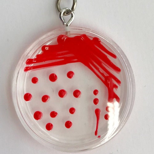 Listeria Petri Dish Keychain / Microbiology Agar Art / Etsy