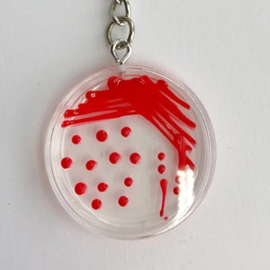 Serratia MH Petri Dish Keychain / Microbiology Agar Art / Bacteria Science Lab Gift / Science Art