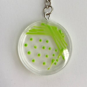 Puede incluir: Un llavero redondo transparente con un cultivo bacteriano verde en su interior. El cultivo tiene rayas y puntos verdes.