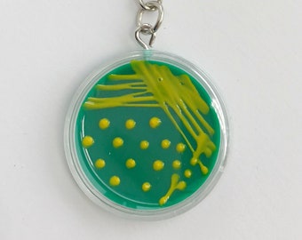 Vibrio Cholerae Petri Dish Keychain / Microbiology Agar Art / Bacteria Science Lab Gift / Science Art / Microbi