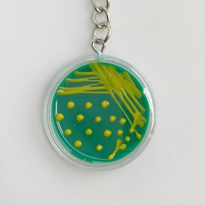 Peut inclure: Un porte-clés rond avec un boîtier en plastique transparent, avec un fond vert avec des points et des stries jaunes, ressemblant à une boîte de Pétri. Le porte-clés a un anneau et une chaîne en métal argenté.