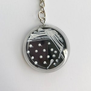 May include: A silver keychain with a round, clear plastic charm. The charm contains a black and white image of a petri dish with white streaks and white dots.