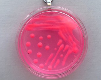 E.coli MAC Petri Dish Keychain / Microbiology Agar Art / Bacteria Science Lab Gift / Science Art