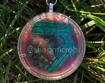 E. coli EMB Petri Dish Keychain / Microbiology Agar Art / Bacteria Science Lab Gift / Science Art