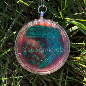 E. coli EMB Petri Dish Keychain / Microbiology Agar Art / Bacteria Science Lab Gift / Science Art