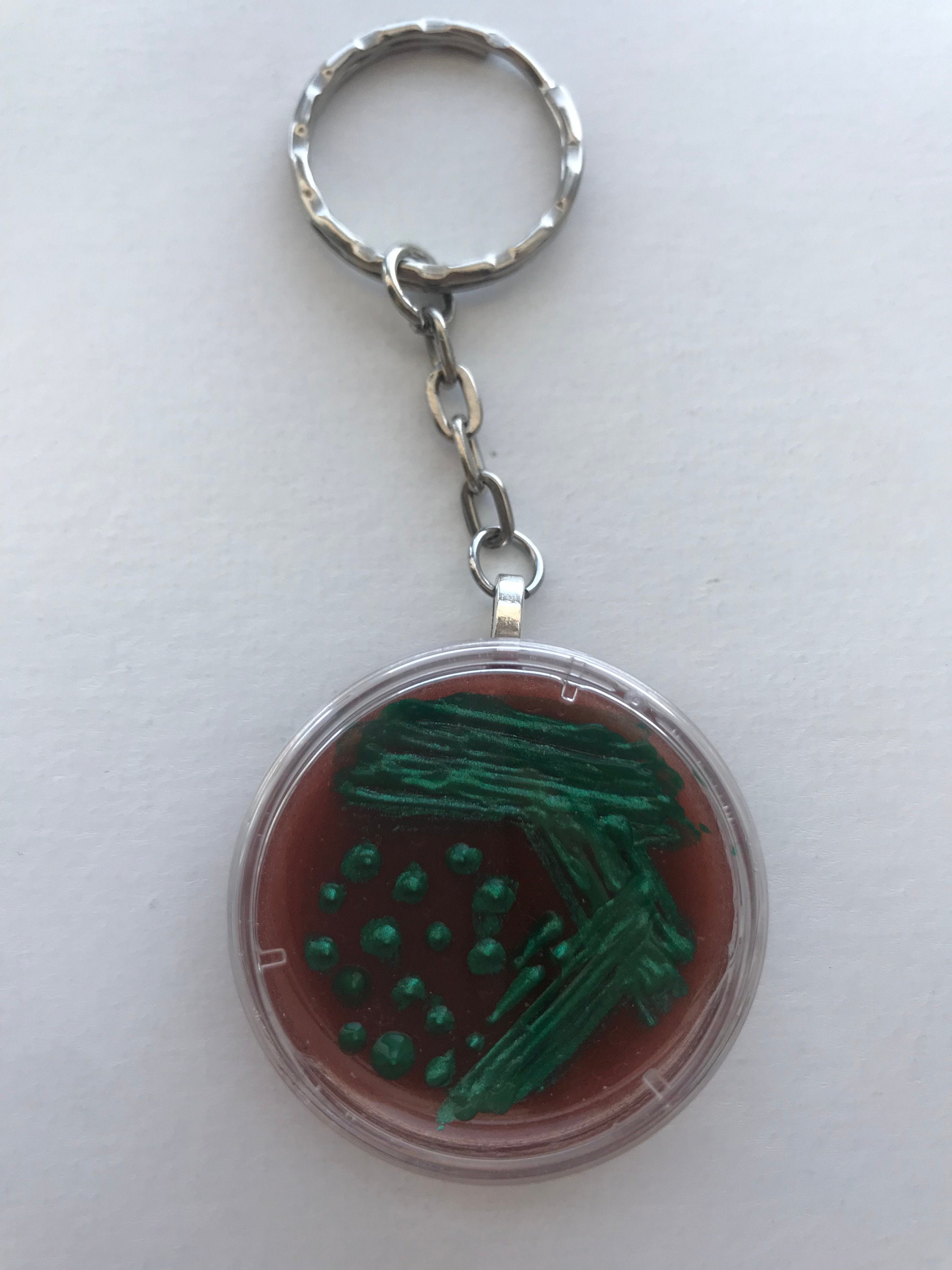 E. Coli EMB Petri Dish Keychain / Microbiology Agar Art / Etsy Canada