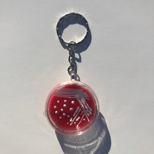 Op de afbeelding: Een rode en witte petrischaal sleutelhanger met een zilveren ketting en ring. De petrischaal is gevuld met een rood agar medium en heeft witte strepen van bacteriegroei.