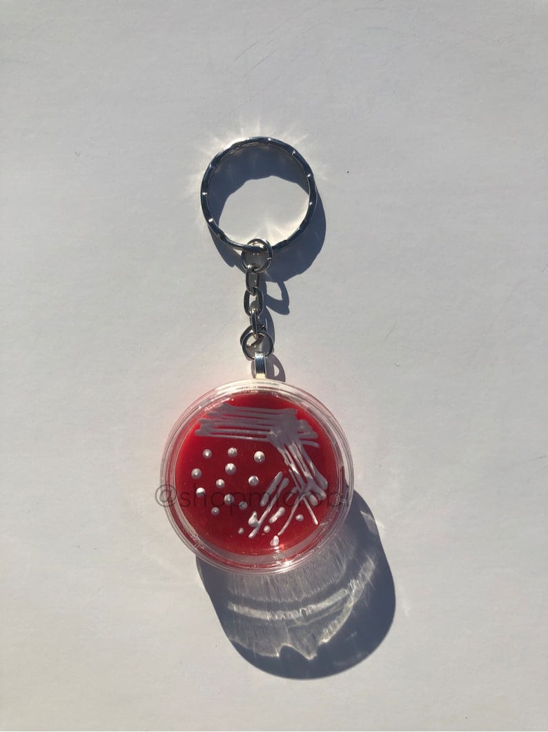 Op de afbeelding: Een rode en witte petrischaal sleutelhanger met een zilveren ketting en ring. De petrischaal is gevuld met een rood agar medium en heeft witte strepen van bacteriegroei.