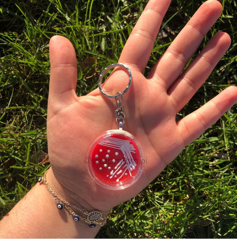 Op de afbeelding: Een rode en witte petrischaal sleutelhanger met een zilveren ketting. De petrischaal heeft een wit lijnenpatroon en witte stippen op een rode achtergrond.