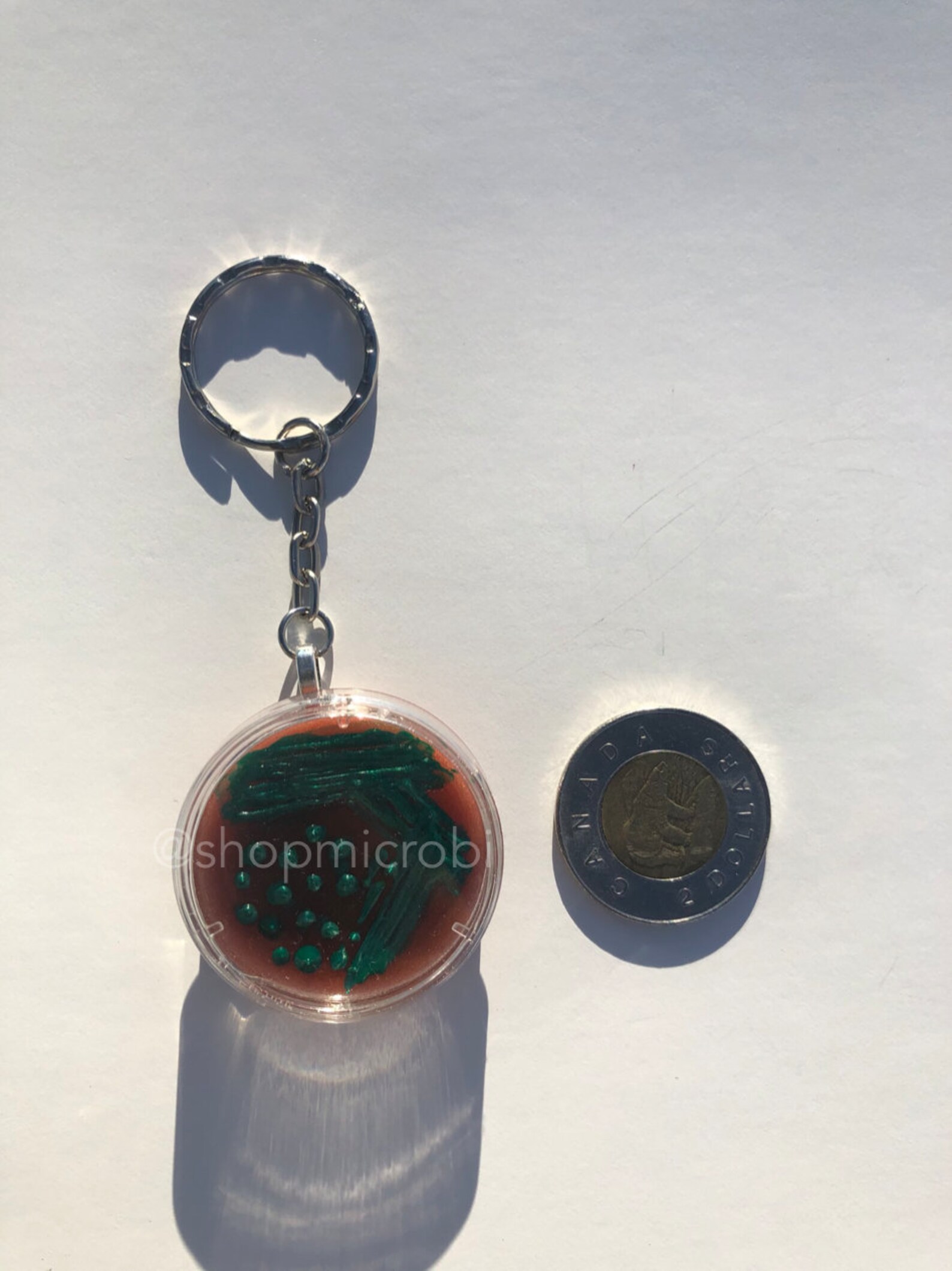 E. Coli EMB Petri Dish Keychain / Microbiology Agar Art / Etsy