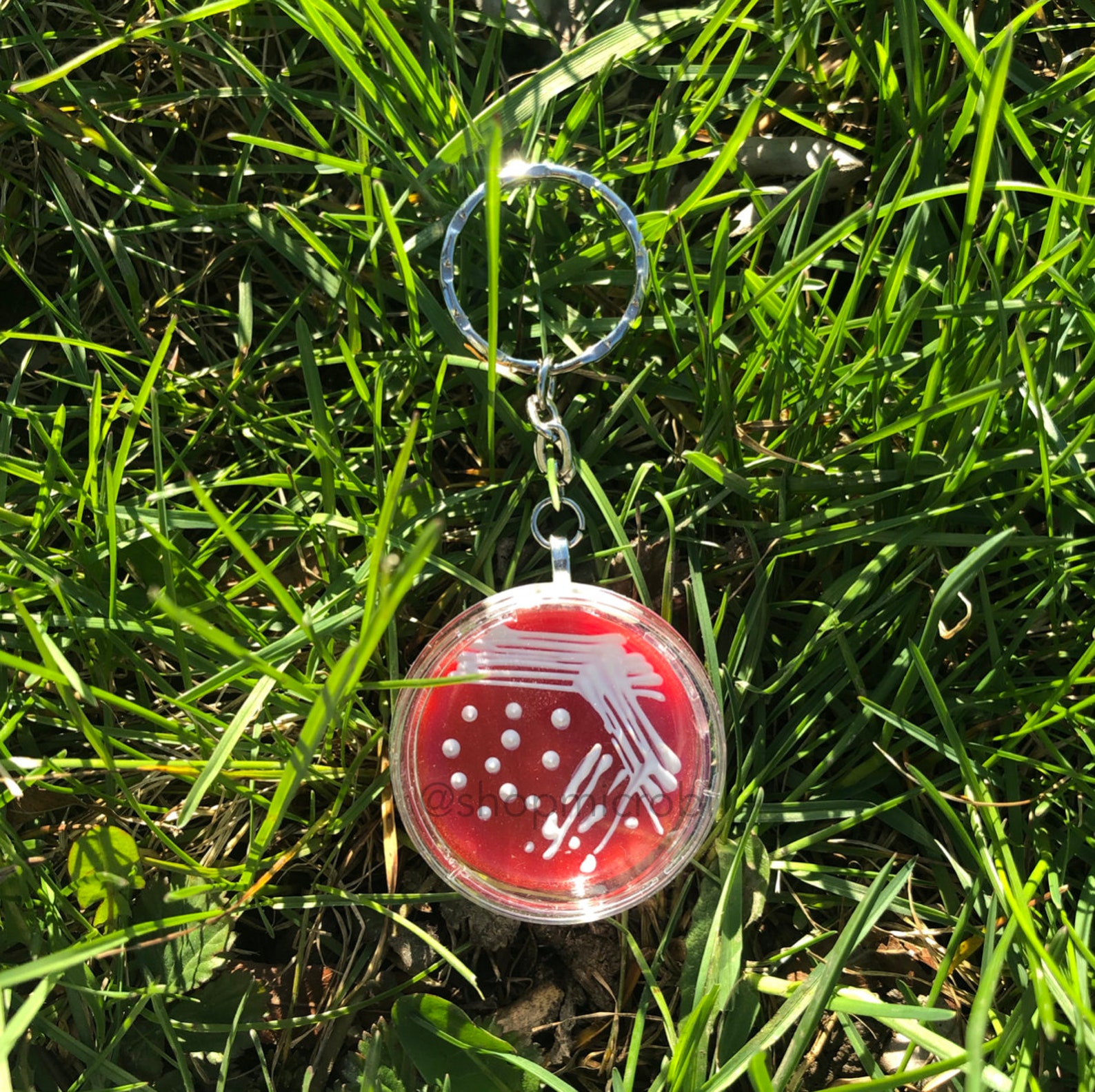 E.coli Blood Petri Dish Keychain / Microbiology Agar Art / Etsy