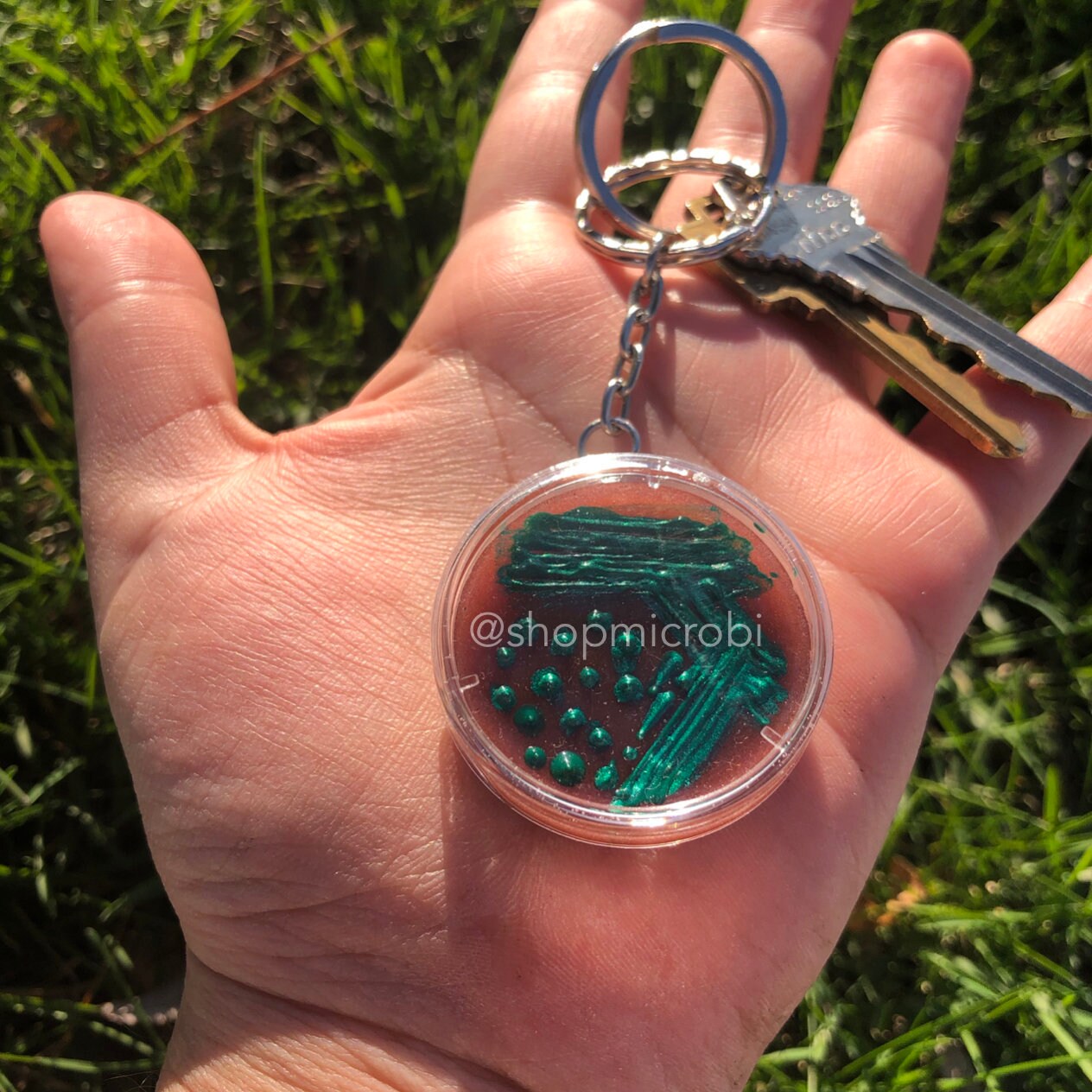 E. Coli EMB Petri Dish Keychain / Microbiology Agar Art / Etsy Canada