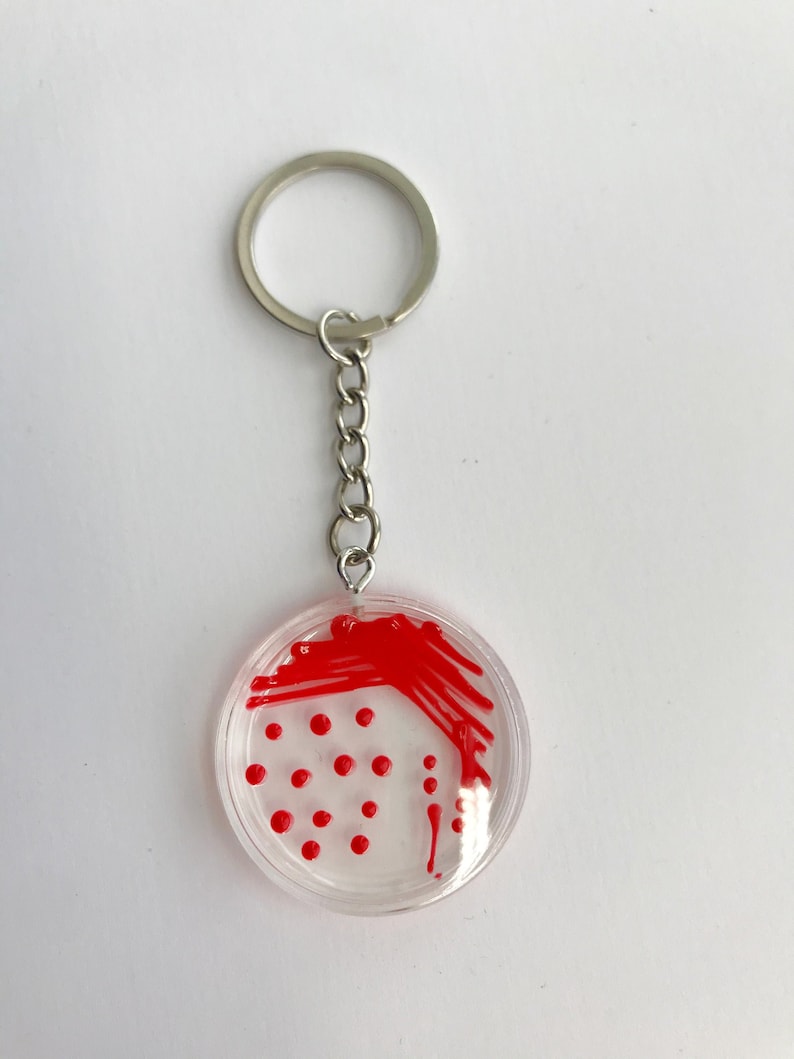 Serratia MH Petri Dish Keychain / Microbiology Agar Art / Etsy