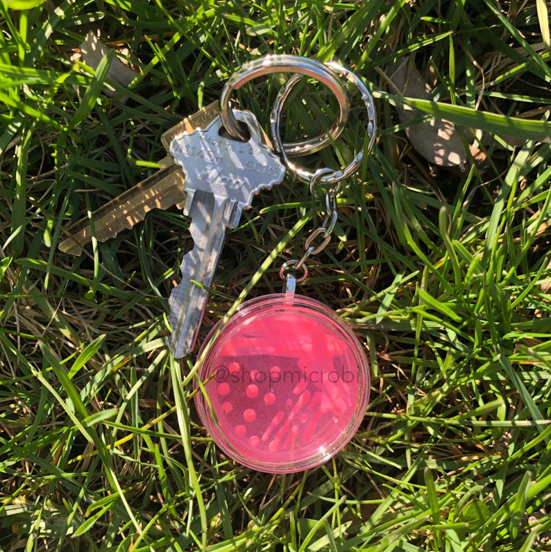 Puede incluir: Un llavero rosa con un dije de pl&aacute;stico transparente lleno de peque&ntilde;as cuentas rosas y blancas. El dije tiene el texto "@shopmicrob" en &eacute;l.