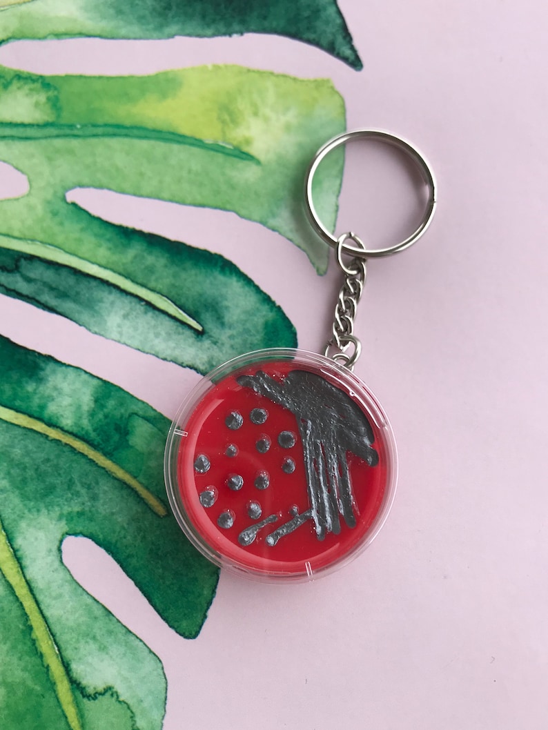 Pseudomonas Petri Dish Keychain / Microbiology Agar Art / Etsy