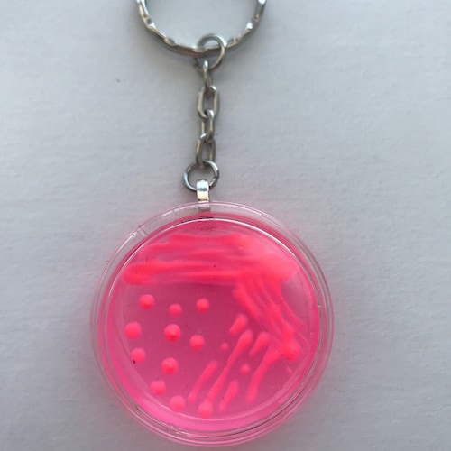 E.coli Blood Petri Dish Keychain / Microbiology Agar Art / Etsy