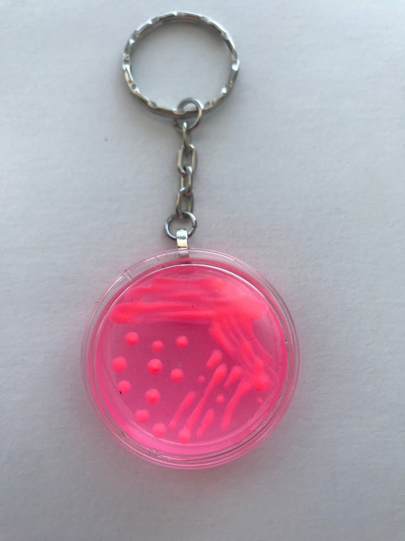 E.coli MAC Petri Dish Keychain / Microbiology Agar Art / Bacteria Science Lab Gift / Science Art