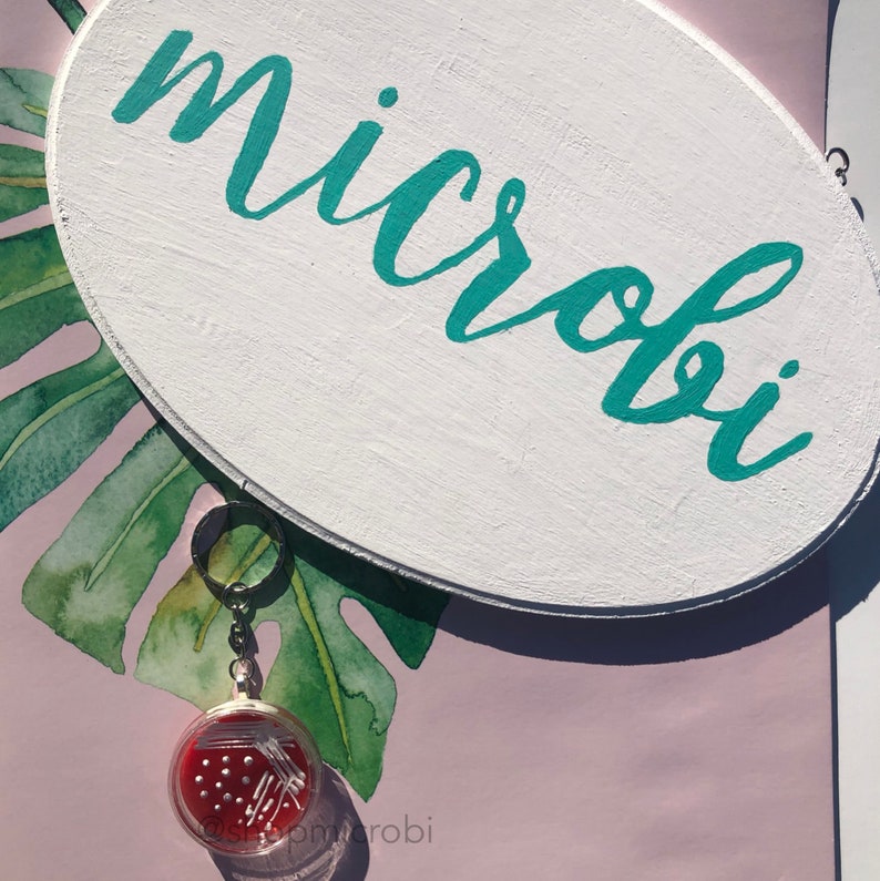 Op de afbeelding: Een wit houten bord met het woord "microbi" erop geschreven in turquoise verf. Een kleine sleutelhanger met een rode en witte petrischaal-hanger hangt aan het bord.