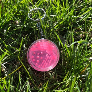 Puede incluir: Llavero de slime rosa con una carcasa de pl&aacute;stico transparente y un llavero plateado. El slime tiene un patr&oacute;n de espiral y peque&ntilde;as purpurinas rosas y blancas. El llavero est&aacute; sobre un lecho de hierba verde.