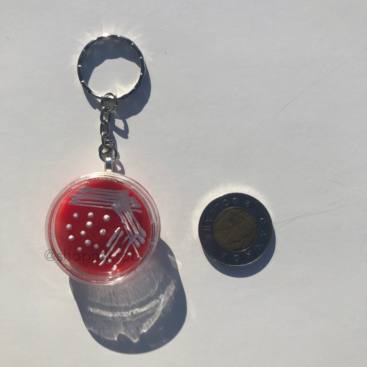 E.coli Blood Petri Dish Keychain / Microbiology Agar Art / Etsy UK