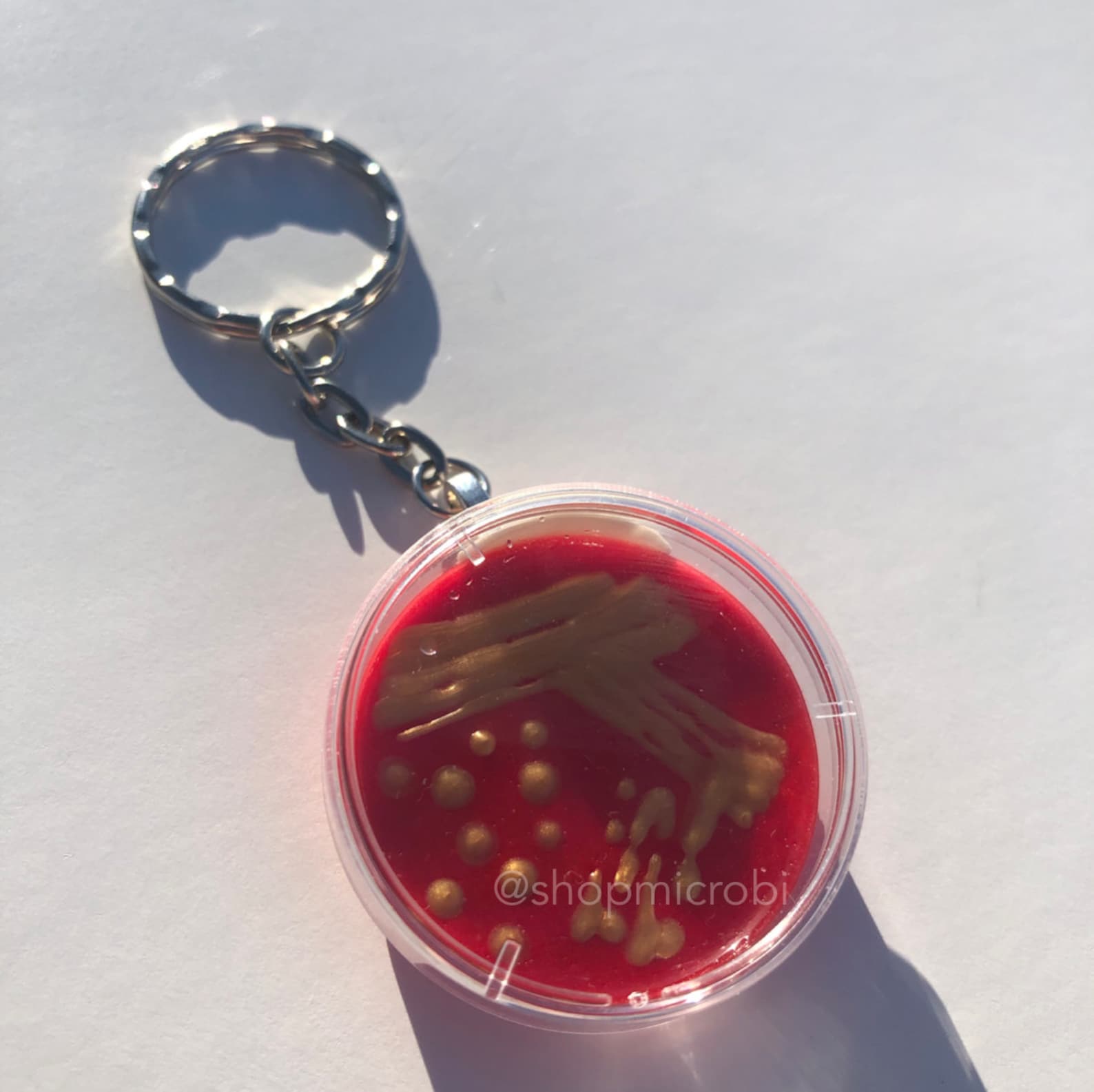 Staph Aureus Petri Dish Keychain / Microbiology Agar Art / Etsy