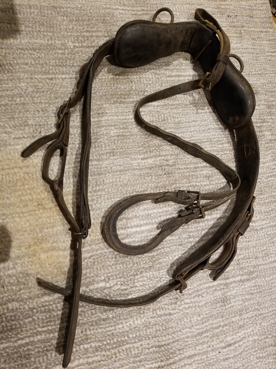 Antique buggy horse harness Etsy
