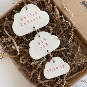 May include: Three cloud-shaped tags with pink text inside a cardboard box filled with brown paper. The top tag reads "Hallie Roberts". The middle tag reads "8lb 3oz". The bottom tag reads "10.10.19".