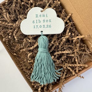 May include: A cloud-shaped ornament with the name "Remi", weight 6lb 9oz, and date 17.02.26 printed in green. It has a teal tassel and is presented in a cardboard box with brown paper filler. The ornament is suspended by a string.