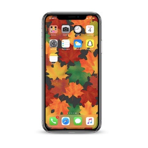 Op de afbeelding: Een zwarte iPhone met een herfstthema-achtergrond met kleurrijke esdoornbladeren. Het startscherm van de telefoon toont verschillende app-pictogrammen, waaronder Camera, Klok, Agenda en Snapchat.