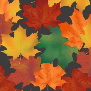 Op de afbeelding: Een telefoonscherm met een vergrendelingspictogram en de tijd 12:44 weergegeven. De datum is vrijdag 4 oktober. De achtergrond is een patroon van kleurrijke herfstbladeren.