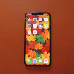 Op de afbeelding: Een zwarte iPhone met een herfstachtige achtergrond van kleurrijke esdoornbladeren. De tijd is 11:30 en het telefoonscherm toont verschillende app-pictogrammen, waaronder Camera, Klok, Weer en Snapchat.