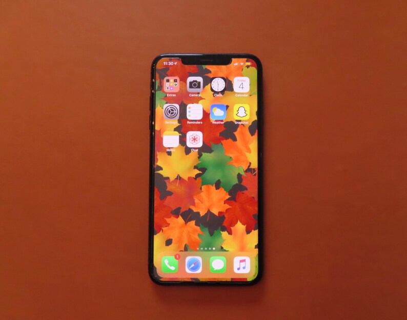 Op de afbeelding: Een zwarte iPhone met een herfstachtige achtergrond van kleurrijke esdoornbladeren. De tijd is 11:30 en het telefoonscherm toont verschillende app-pictogrammen, waaronder Camera, Klok, Weer en Snapchat.
