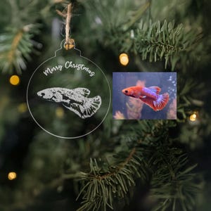 Personalised Betta Fish Christmas Ornament: Custom Pet Memorial Bauble, Tree Decoration, Xmas Fish Gift