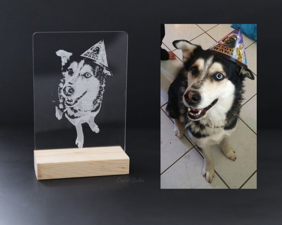 Personalised Dog Sign For Home Custom Pet Portrait From | Etsy
