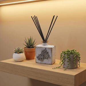 May include: A wooden shelf displays a square, textured diffuser with black reeds, a small succulent in a white pot, a potted succulent, and a trailing plant in a grey pot. The shelf is made of light wood.