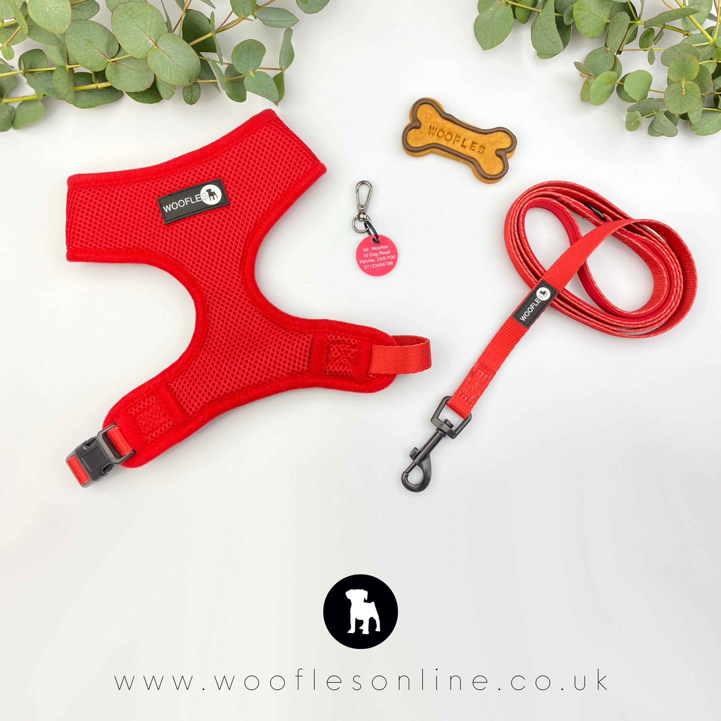 non restrictive dog harness