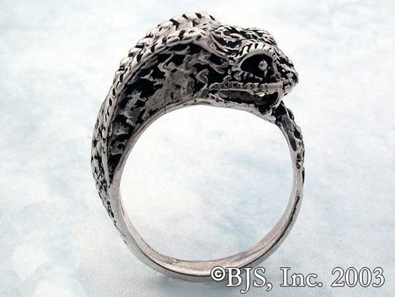 Cobra Ouroboros Ring, Sterling Silver Cobra Ring Eating Its Tail, US Sizes 5 20, Snake Jewelry, Snakes, Cobras, Includes Free US Shipping image 1